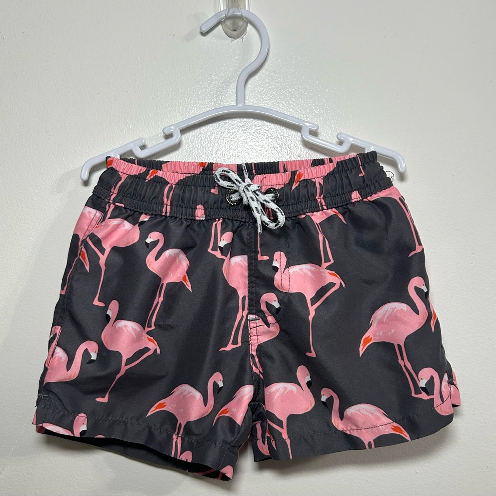 Snapper Rock Pink and Gray Flamingo Boys Swim Shorts
